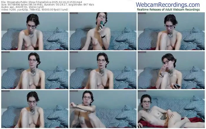 streamate-danadolce-02-16-2025-21-15-30