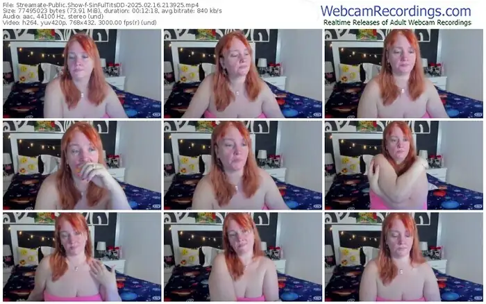 streamate-sinfultitsdd-02-16-2025-21-39-25