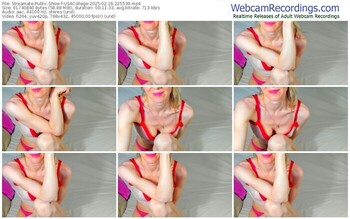 streamate-usacollege-02-16-2025-22-55-39