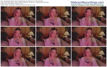 streamate-bambifawn-02-17-2025-02-41-34
