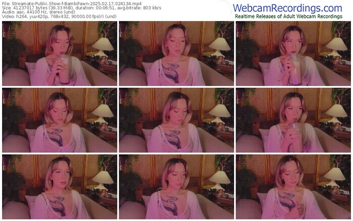 streamate-bambifawn-02-17-2025-02-41-34