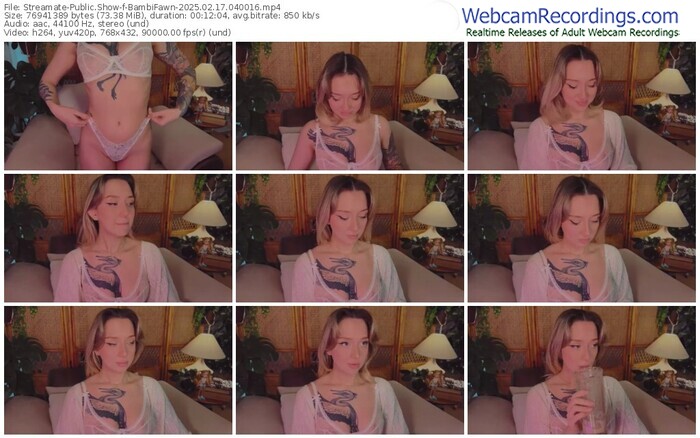 streamate-bambifawn-02-17-2025-04-00-16