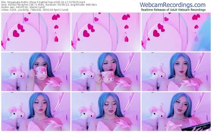 streamate-gatitachan-02-17-2025-01-55-25