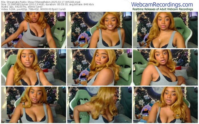 streamate-reneerobin-02-17-2025-00-52-46