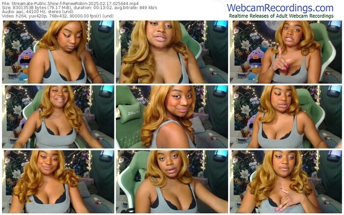 streamate-reneerobin-02-17-2025-02-56-44