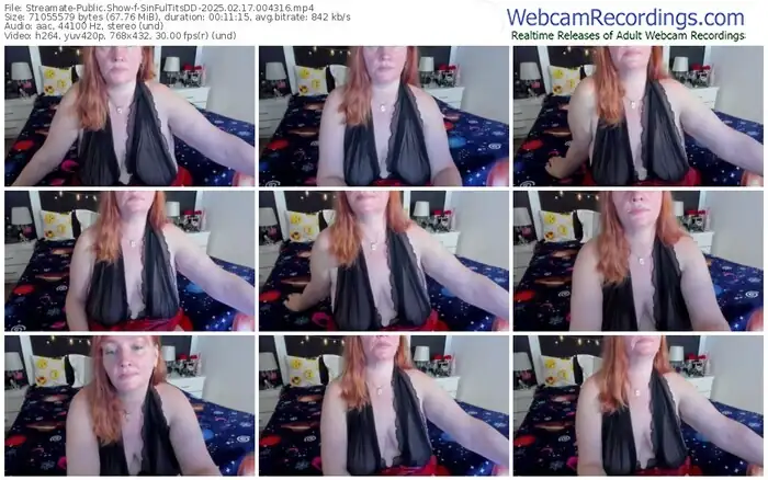 streamate-sinfultitsdd-02-17-2025-00-43-16