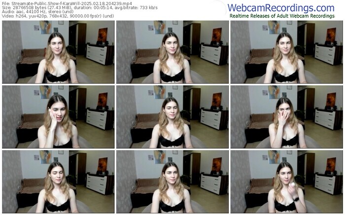 streamate-karawill-02-18-2025-20-42-39