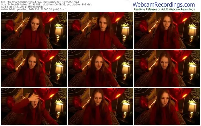 streamate-pamhorny-02-18-2025-20-58-50