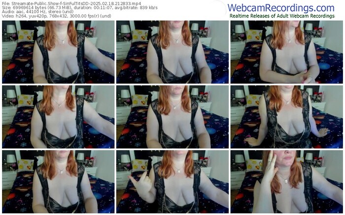 streamate-sinfultitsdd-02-18-2025-21-28-33