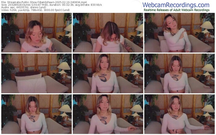streamate-bambifawn-02-19-2025-04-08-34
