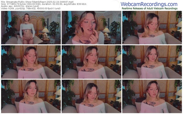 streamate-bambifawn-02-19-2025-04-46-47