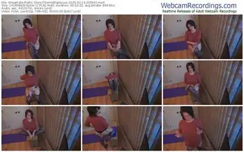 streamate-dameblazeylux-02-19-2025-20-59-42