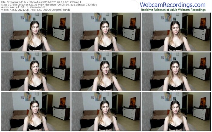 streamate-karawill-02-19-2025-00-14-53