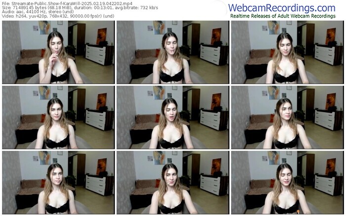 streamate-karawill-02-19-2025-04-22-02