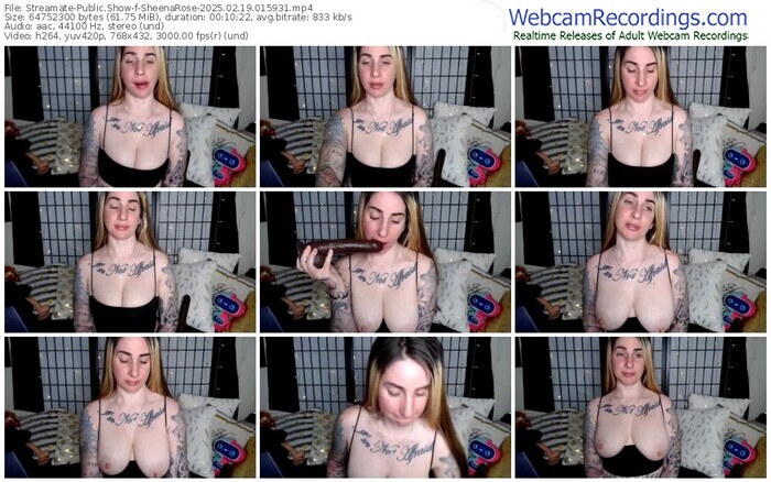 streamate-sheenarose-02-19-2025-01-59-31