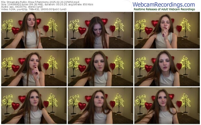streamate-pamhorny-02-20-2025-22-56-50