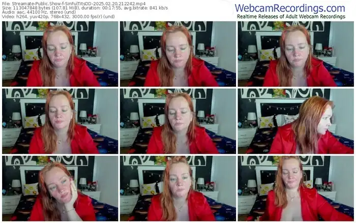 streamate-sinfultitsdd-02-20-2025-21-22-42