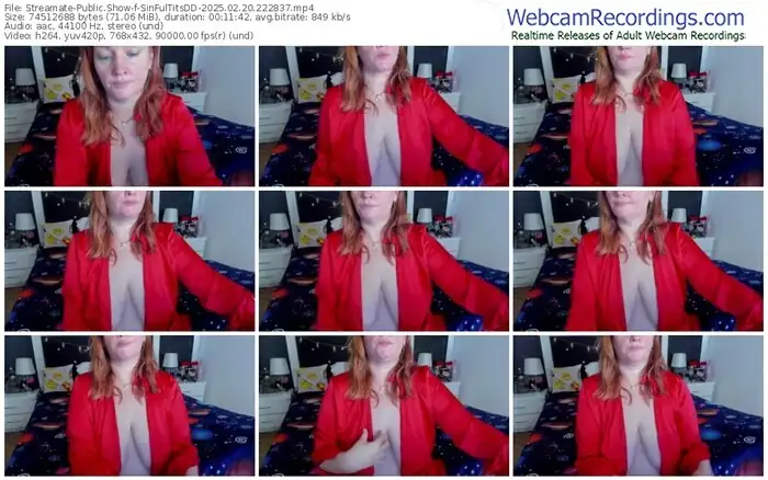 streamate-sinfultitsdd-02-20-2025-22-28-37