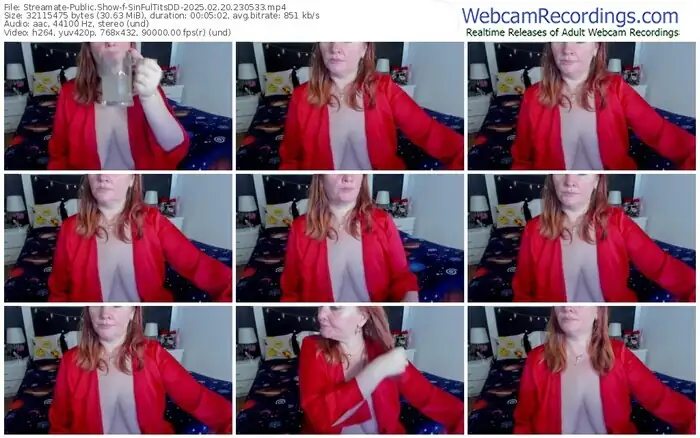 streamate-sinfultitsdd-02-20-2025-23-05-33