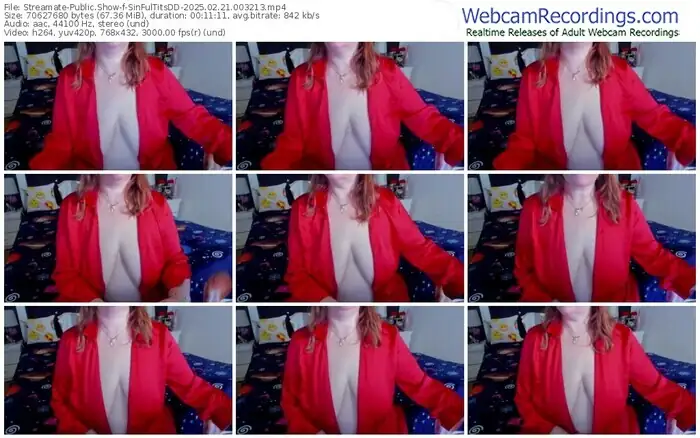 streamate-sinfultitsdd-02-21-2025-00-32-13