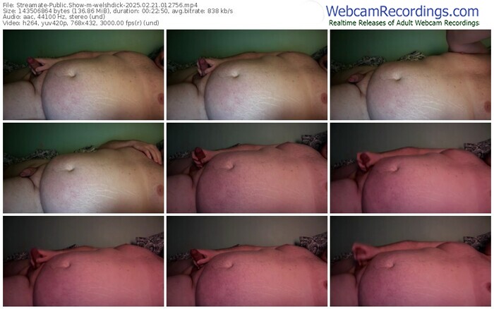 streamate-welshdick-02-21-2025-01-27-56