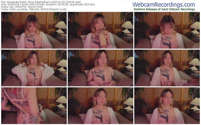 streamate-bambifawn-02-22-2025-02-35-41