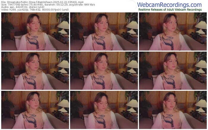 streamate-bambifawn-02-22-2025-03-59-01