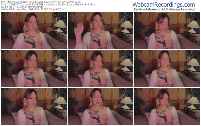 streamate-bambifawn-02-22-2025-04-25-15