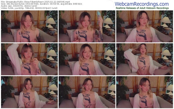 streamate-bambifawn-02-22-2025-06-05-46