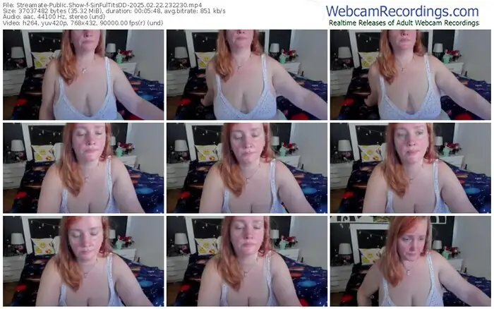 streamate-sinfultitsdd-02-22-2025-23-22-30