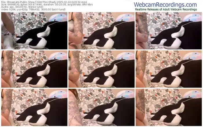 streamate-slimthiccshady-02-22-2025-02-21-32