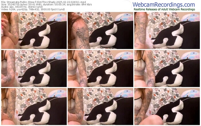 streamate-slimthiccshady-02-22-2025-02-43-11