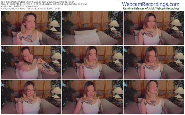 streamate-bambifawn-02-23-2025-05-04-17