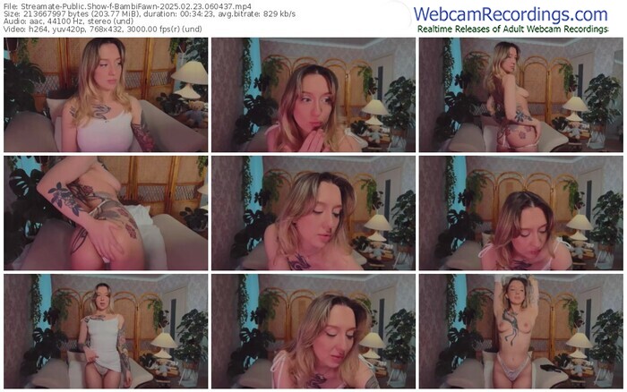 streamate-bambifawn-02-23-2025-06-04-37
