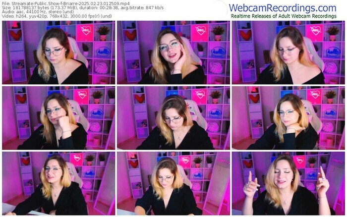 streamate-briarre-02-23-2025-01-25-09