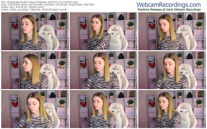 streamate-robeen-02-23-2025-13-19-02