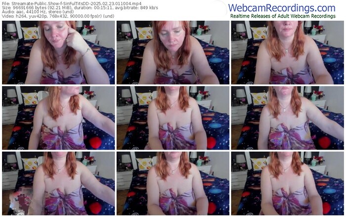 streamate-sinfultitsdd-02-23-2025-01-10-04