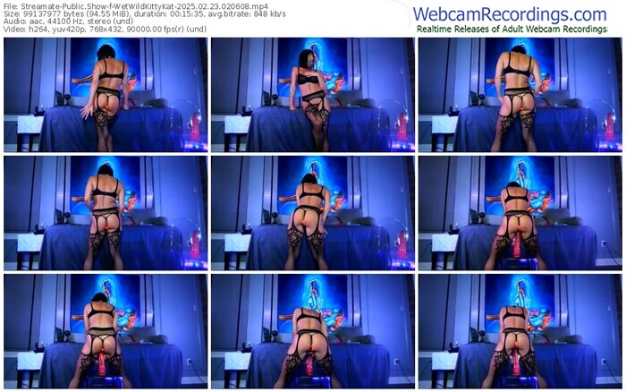 streamate-wetwildkittykat-02-23-2025-02-06-08