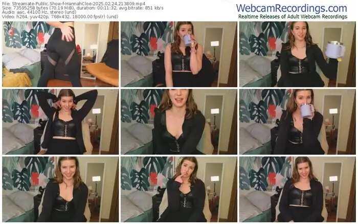 streamate-hannahcloe-02-24-2025-21-38-09