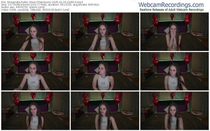 streamate-pamhorny-02-24-2025-22-06-14