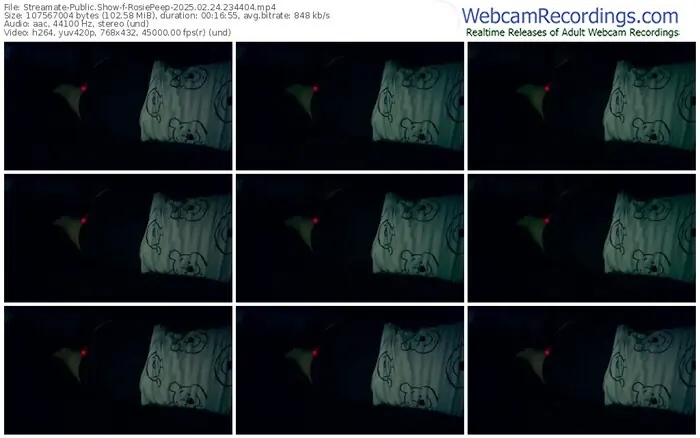 streamate-rosiepeep-02-24-2025-23-44-04