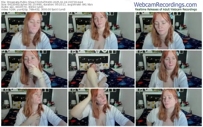 streamate-sinfultitsdd-02-24-2025-19-37-30