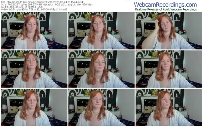 streamate-sinfultitsdd-02-24-2025-21-15-24