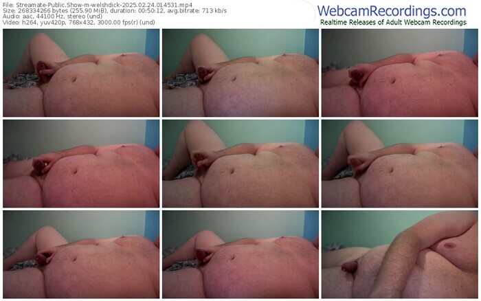 streamate-welshdick-02-24-2025-01-45-31