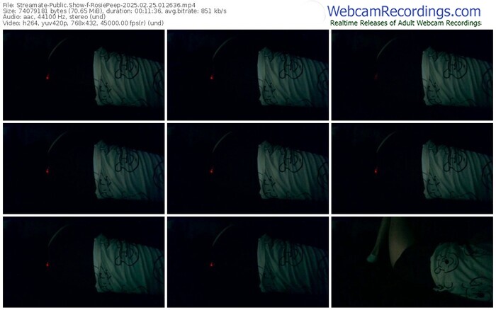 streamate-rosiepeep-02-25-2025-01-26-36