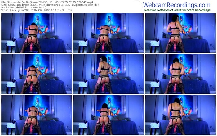 streamate-wetwildkittykat-02-25-2025-02-06-45