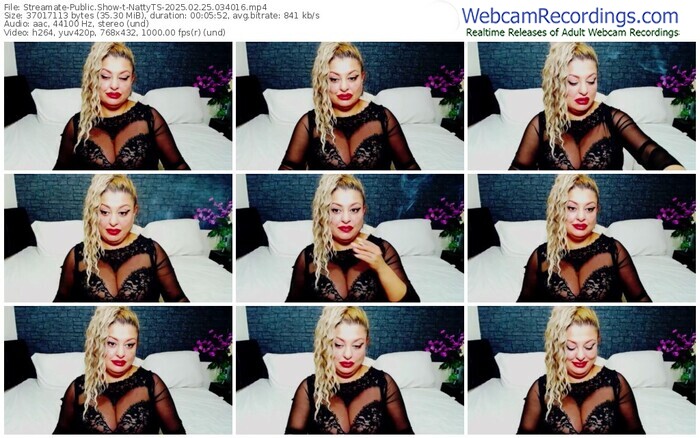 streamate-nattyts-02-25-2025-03-40-16