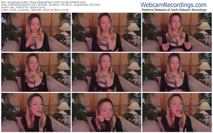 streamate-bambifawn-03-08-2025-04-48-00