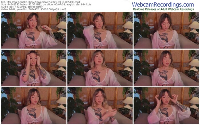 streamate-bambifawn-03-10-2025-03-54-38