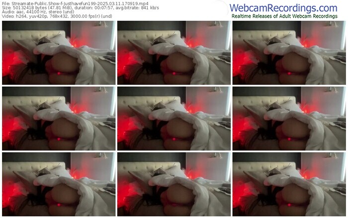 streamate-justhavefun199-03-11-2025-17-09-19